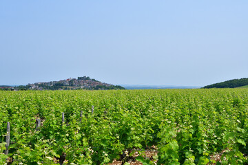 Sancerre Village on a Hill in France, Viewed from Afar – June 9, 2025