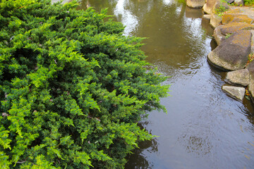 Komatsugawa Sakaigawa Water Park in Tokyo, Japan
