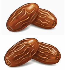 Two Dried Dates Fruit Illustration with Realistic Texture

