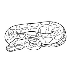 Naklejka premium Snake outline drawing of a python for coloring pages and educational resources for kids on transparent background