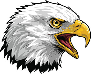 Majestic Bald Eagle Head Detailed Vector Illustration of a Bird of Prey with Strong Yellow Beak and Intense Gaze