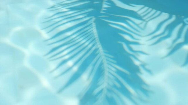 Palm leaf shadow in clear blue water for summer design, tropical backgrounds, vacation themes, relaxation visuals, nature concepts