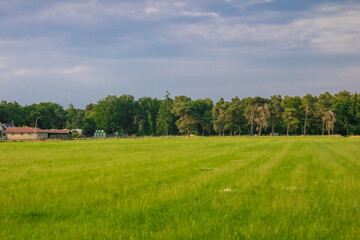 Summer countryside landscape with flat and low land under blue sky, Typical Dutch land with green meadow, Holland, Netherlands. High quality photo