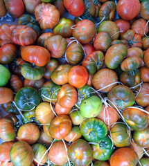 Fresh Raf tomatoes in various stages of ripeness displayed at a market in Spain