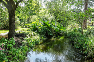 The River Dodder flowing through the lush greenery of the National Botanic Gardens in Dublin, Ireland, on a bright summer day.