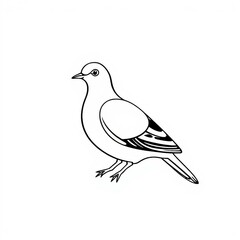 Obraz premium Einfach gehaltene Vektorzeichnung einer Taube in Seitenansicht – symbolisch, friedlich und perfekt für spirituelle oder klassische Designs.