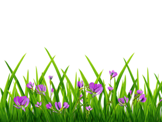 Vibrant Spring Meadow Lush Green Grass and Delicate Purple Flowers