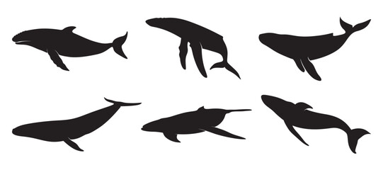 set of dolphin silhouette vectors. Dolphin Silhouette Vector