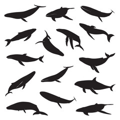 Blue whale silhouettes set isolated flat vector illustration. set of dolphin silhouette vectors. Dolphin Silhouette Vector