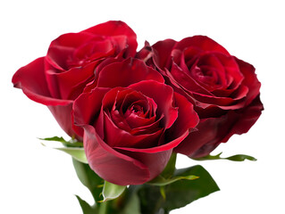 Obraz premium Three Stunning Red Roses A Symbol of Love and Passion