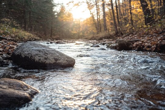 Fototapeta Flowing water through a stream in the Forest of Algonquin Provincial Park during Autumn season
