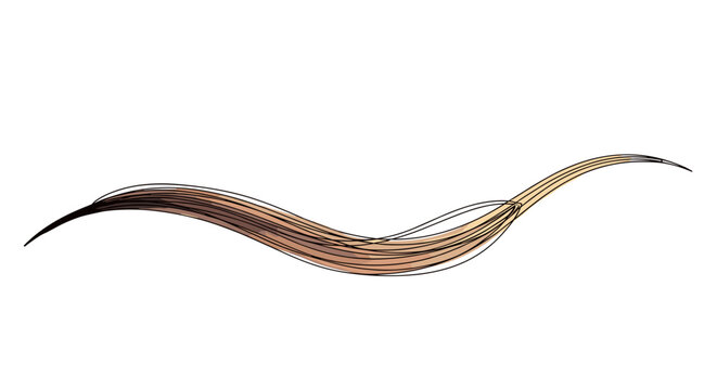 Hair strand for beauty branding and hair product packaging