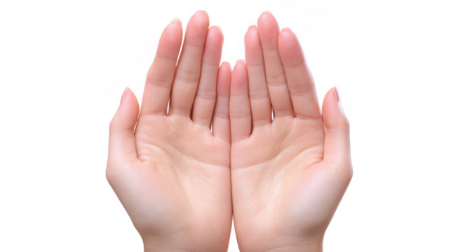 Two open hands with palms facing up are isolated on a transparent background, creating a versatile image suitable for various design and advertising needs