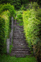 Stone rand rocky stairs. Rock steps twisting upward surrounded by greenery vegetation