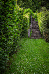 Stone rand rocky stairs. Rock steps twisting upward surrounded by greenery vegetation