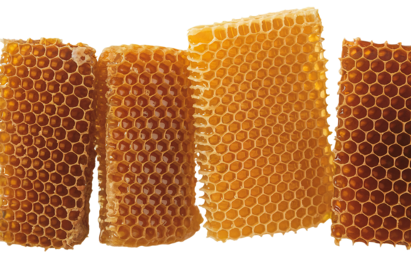 Golden honeycomb pieces sweet honey texture background wax food on transparent background