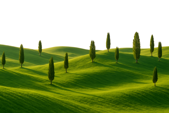 Green hilly landscape with trees,clean white background, natural daylight lighting,nature,landscape,hill