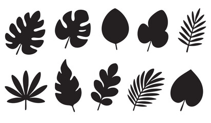 Set of tropical leaf silhouettes in black. Includes various shapes like monstera, palm and decorative jungle foliage. Ideal for logos, icons, and minimal designs © vicktoriabbk