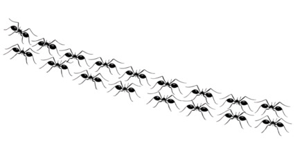 Elegant black ant pattern dark background graphic design art on transparent background