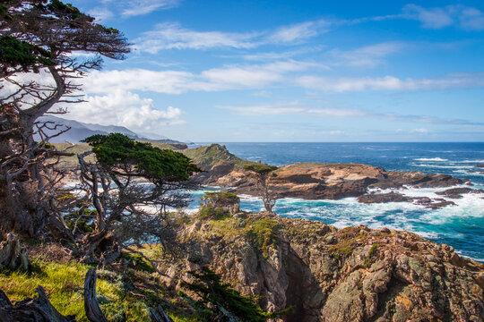Scenic view of rocky Pacific Ocean coast from Cypress Grove Trail at Point Lobos State Natural Reserve, California, USA