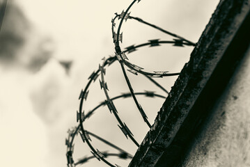 Photo of a residential security fence