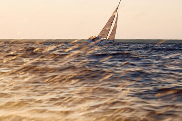 Sailing regatta in the Gulf of Finland at sunset, sailing yacht competing in a race, splashing...