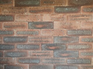 Fototapeta premium Textured Brick Walls