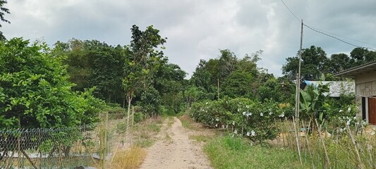 road in the countryside. beautiful view during the day