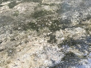 rain on the street,Raindrops on the concrete floor,Raindrops that hit the water surface.Raindrops splashing on a cement concrete floor