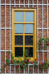 Gelbes Fenster mit Kletterrose