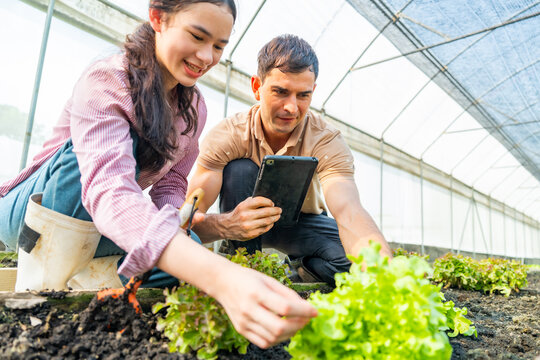 Happy farmer family growing organic vegetable in greenhouse garden. Father and daughter caring and recording data on digital tablet analysis plant growth in agriculture farm for sustainable living.
