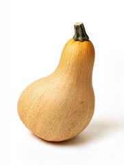 Whole butternut squash with tan skin and curved shape isolated on white background