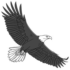 Obraz premium Majestic Eagle Soaring in Sky 