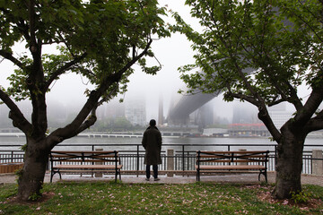 Person looking at the foggy view in New York City