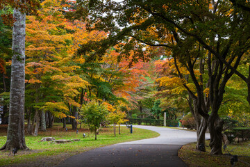 Naklejka premium 日本の風景・秋 北海道函館市 旧岩船氏庭園（香雪園）