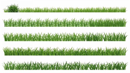 Vibrant grass silhouettes digital illustration