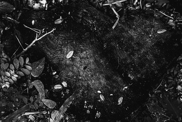 Photo of ground texture pattern