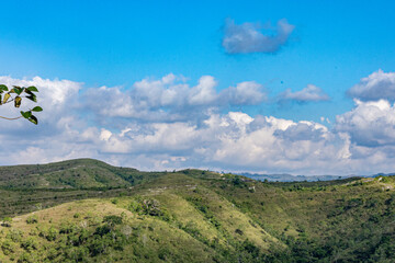 Fototapeta premium Traditionally, the Sumba people herd their cattle through mountains and steep valleys, following their grazing animals on foot