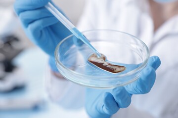 Scientist working with sample in Petri dish in laboratory, closeup