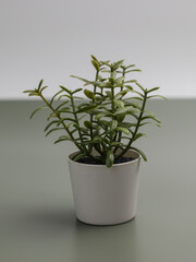 Artificial plants in white vase for room decoration