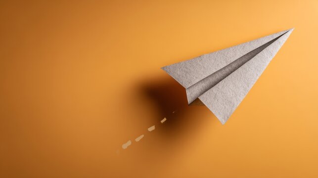 Paper airplane. Premium minimal design concept
