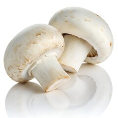 Mushroom Isolated on White Background &ndash; High-Resolution Studio Stock Photo for Culinary Use