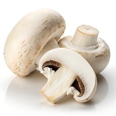 Mushroom Isolated on White Background &ndash; High-Resolution Studio Stock Photo for Culinary Use