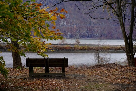 bench in autumn park in Cold Spring, New York