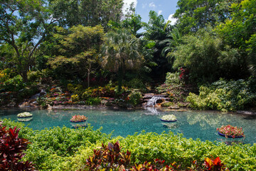 Fototapeta premium Garden with a small waterfall inside the Sea World amusement park in Orlando, Florida, United States