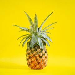 Pineapple. A fresh pineapple isolated on yellow background with soft focus in the middle.