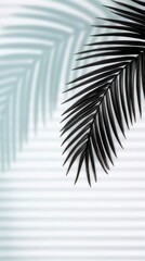Dark Palm Leaf Shadow on Blue and White Striped Background