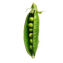 Fresh green pea pod with vibrant peas inside, showcasing its natural beauty and freshness. Ideal for healthy cooking and nutrition focused dishes