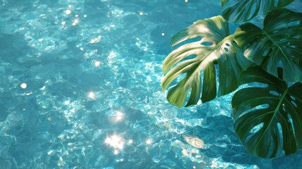 Tropical Paradise: Monstera Leaves and Sparkling Pool