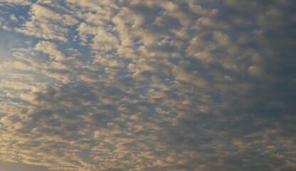 morning sky with dramatic clouds clumping together, yellow clouds highlighted by sunlight